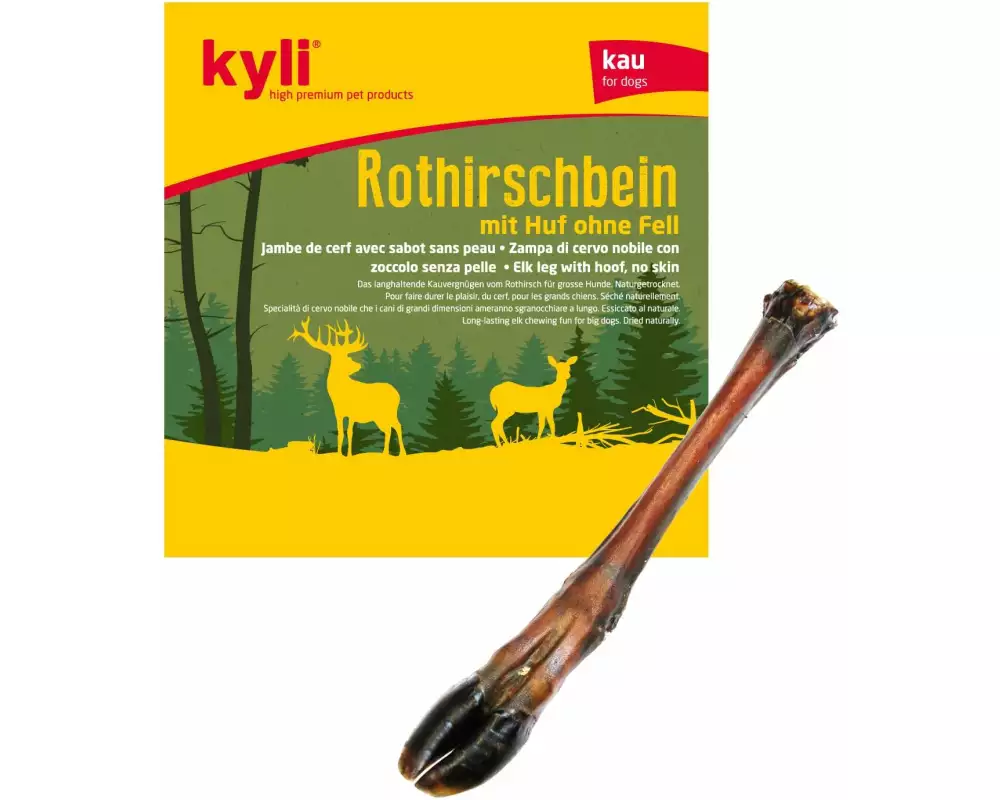 kyli Hirschbein, 1 Stück