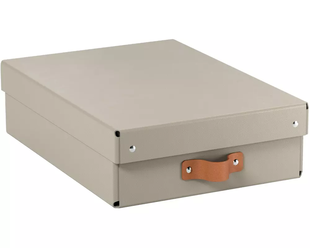 Leitz Arrchivbox Puro flach mit Klappdeckel, 2 Stück, Sand