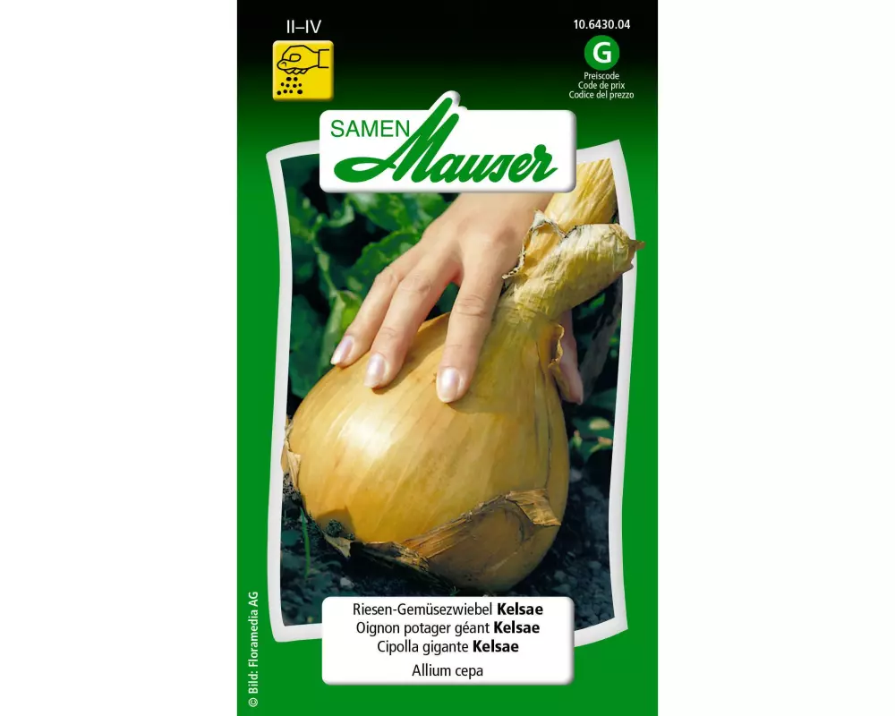 Samen Mauser Samen Riesen-Gemüsezwiebel Kelsae