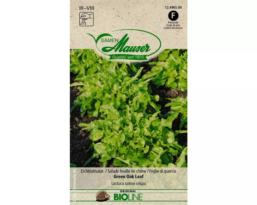 Samen Mauser Samen BIO Eichblattsalat Green Oak Leaf