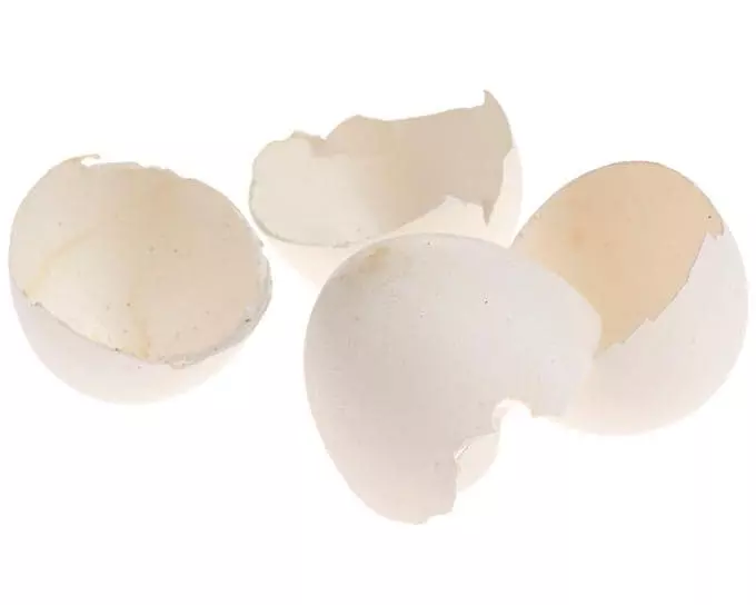 Opiflor Osterei-Schale 200, Natur-Weiss