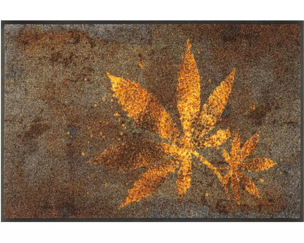 wash+dry Fussmatte Herb Blend 50 cm x 75 cm