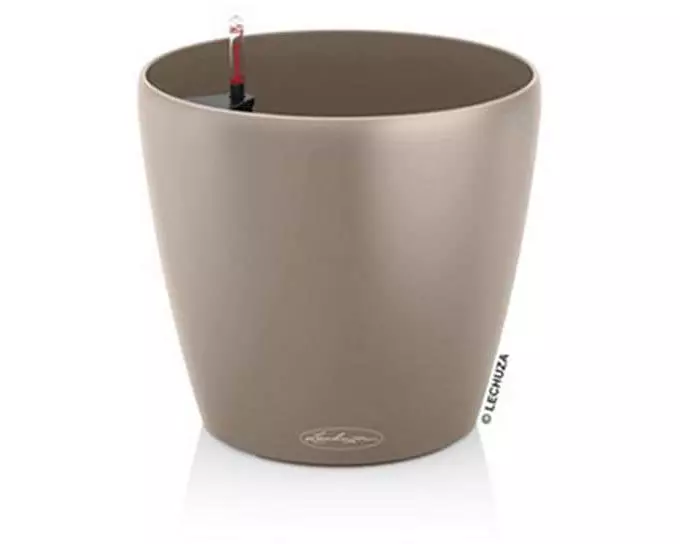 Lechuza CLASSICO Color 43 Sandbraun