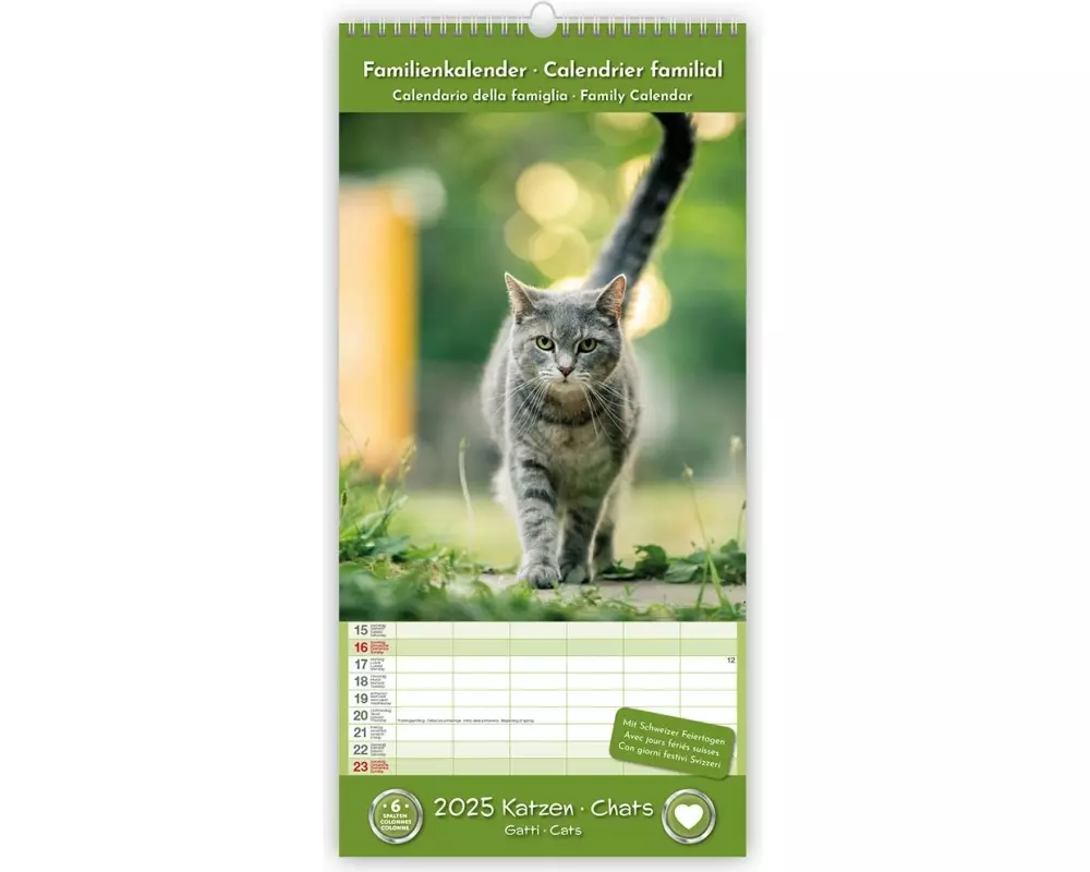 TH Kalender Katzen 22 x 45 cm
