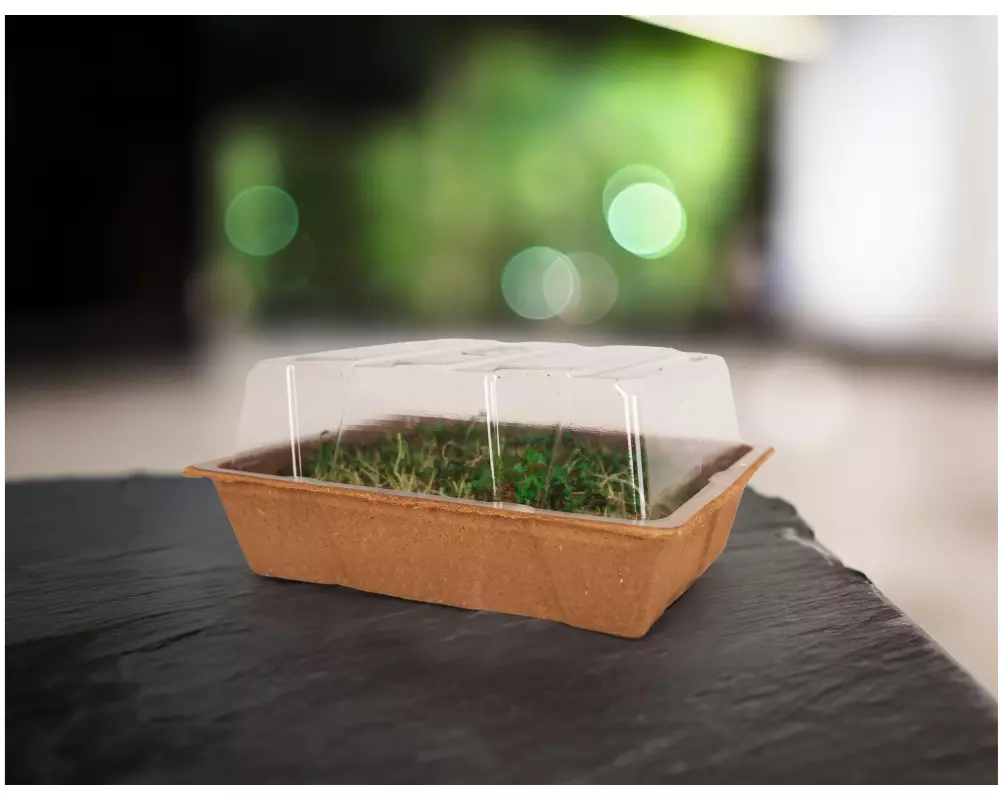 Romberg ECO MINI biologisch abbaubare Zelluloseschalen