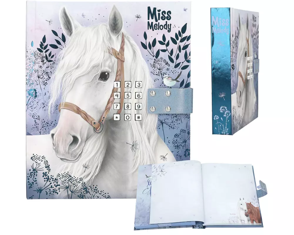 Depesche Tagebuch Miss Melody mit Code und Musik