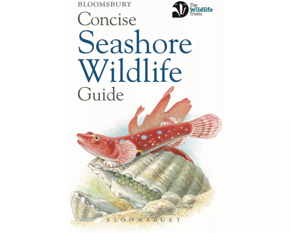 Concise Seashore Wildlife Guide