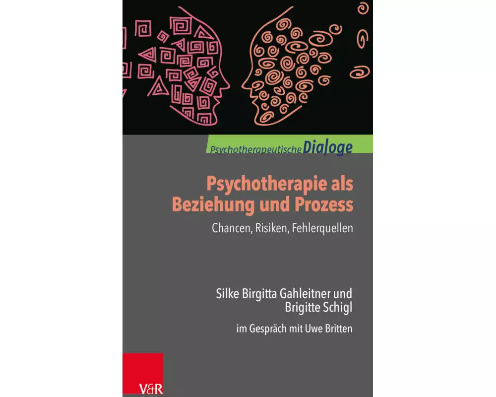 Psychotherapie als Beziehung und Prozess: Chancen, Risiken, Fehlerquellen