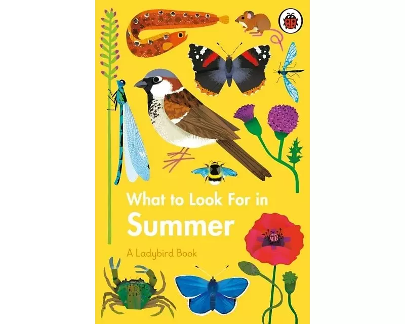 What To Look For In Summer