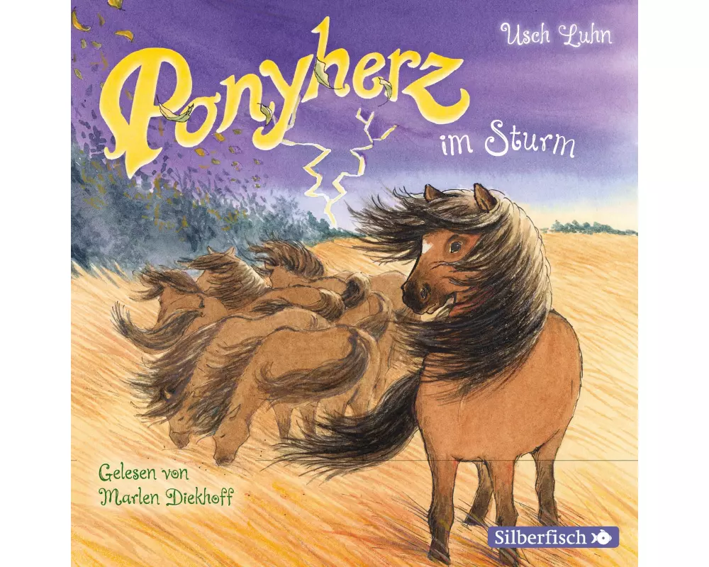 Ponyherz 14: Ponyherz im Sturm
