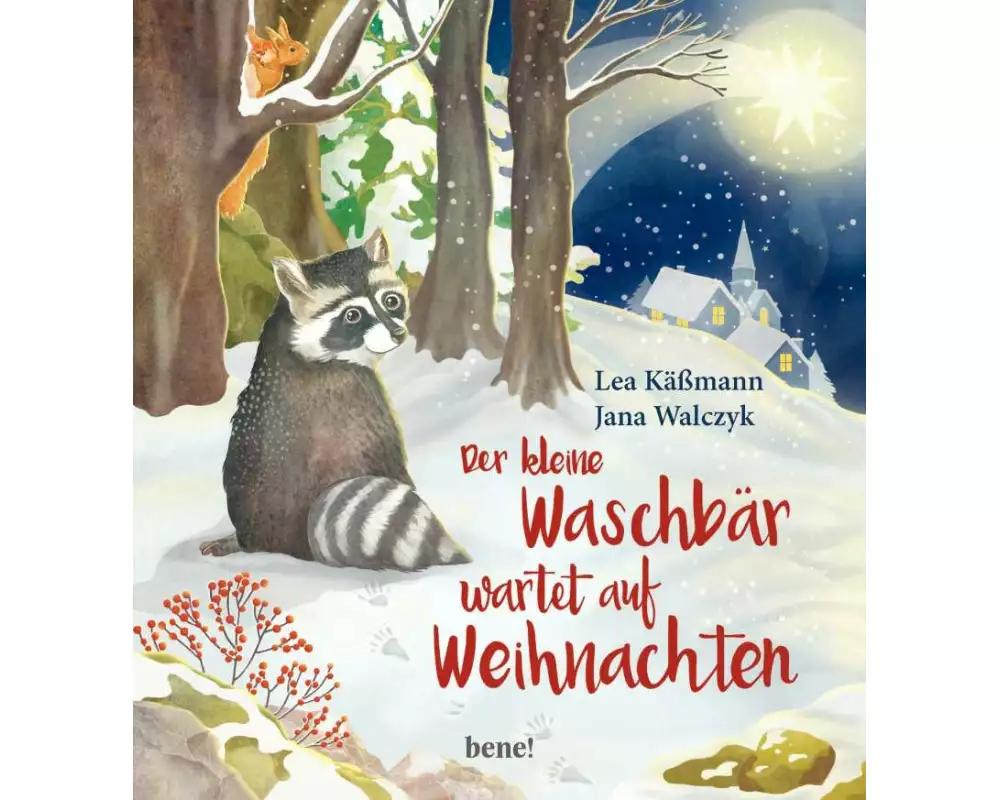 Der kleine Waschbär wartet auf Weihnachten – ein Bilderbuch für Kinder ab 2 Jahren