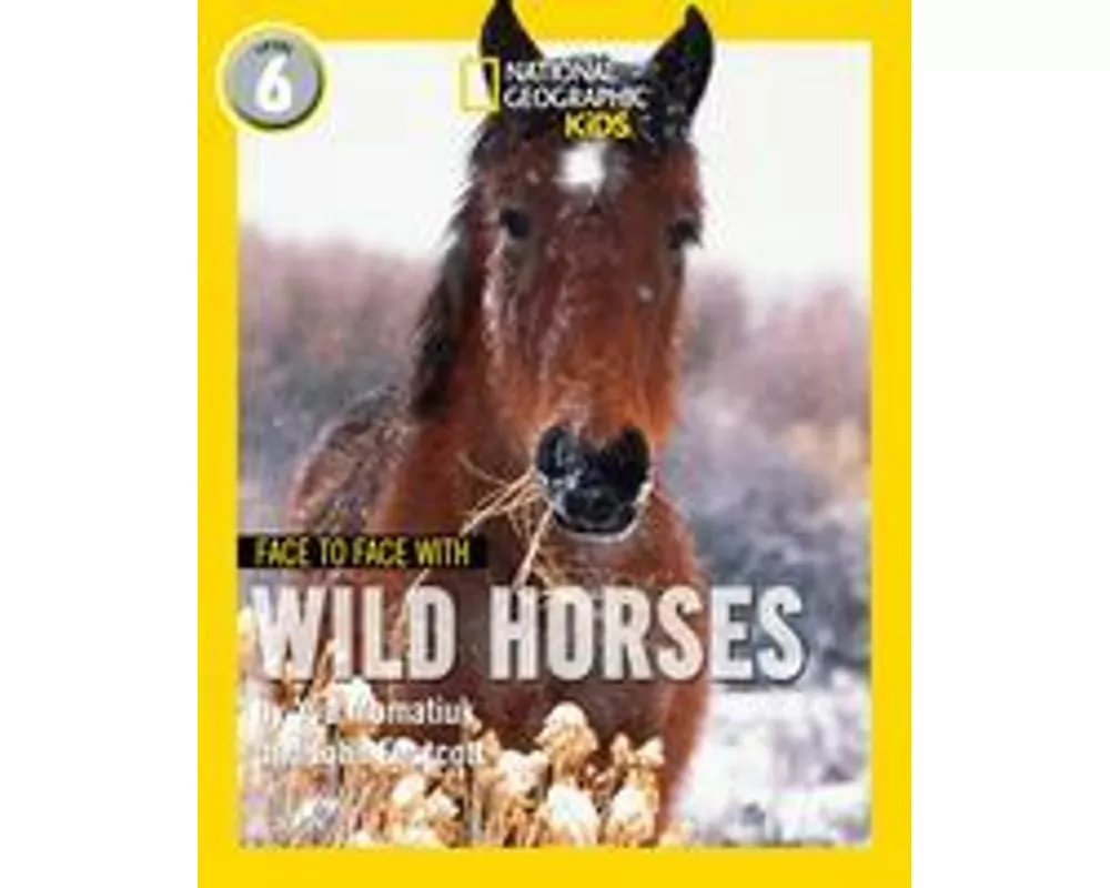 Face to Face with Wild Horses