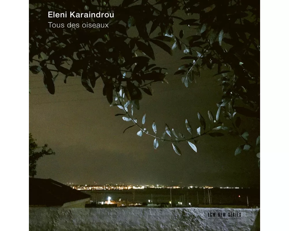 Tous Des Oiseaux