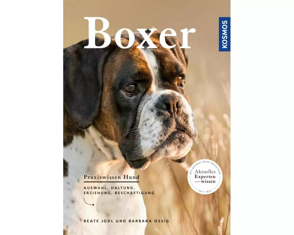 Boxer