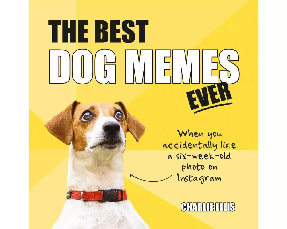 The Best Dog Memes Ever
