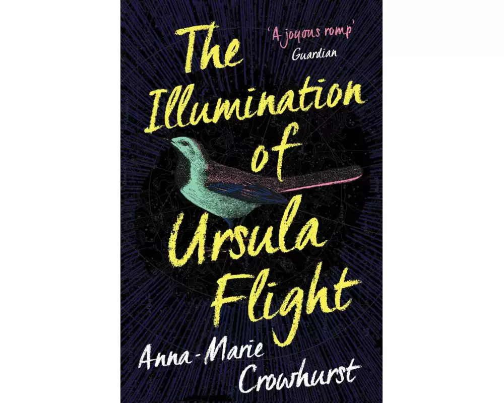 The Illumination of Ursula Flight