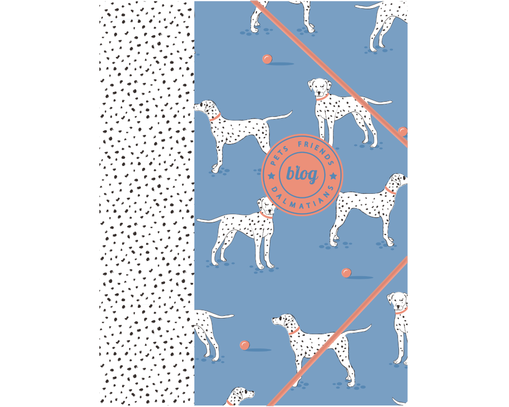 ANCOR Gummibandmappe A4 105438 PET FRIENDS blau