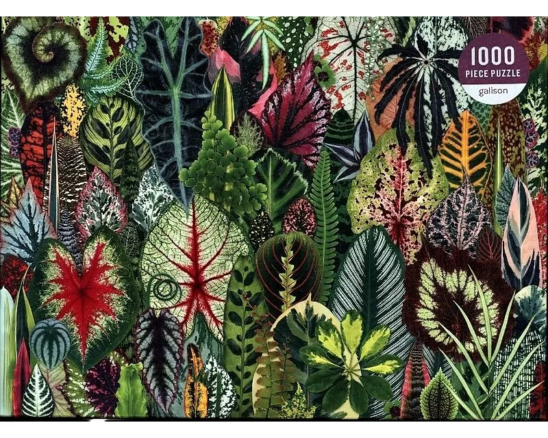 Houseplant Jungle 1000 Piece Puzzle
