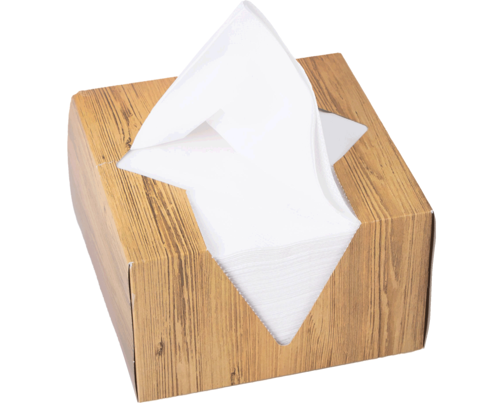 ELCO Serviettenbox 33x33cm 33402100-001 3-lagig, weiss 100Stk.