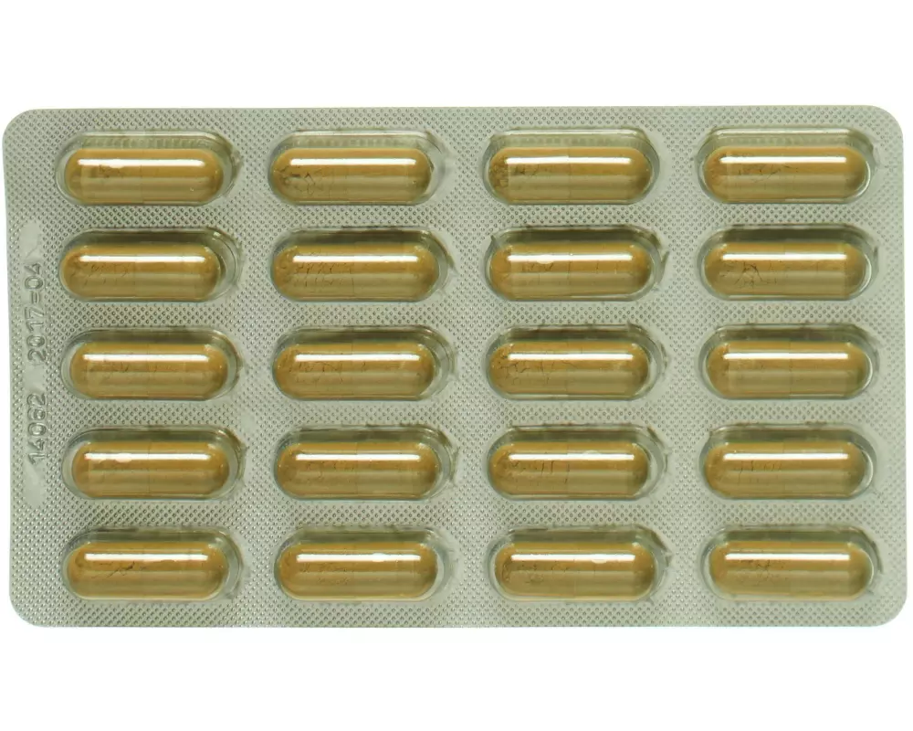 Luvos Heilerde Micro 40 Kapseln