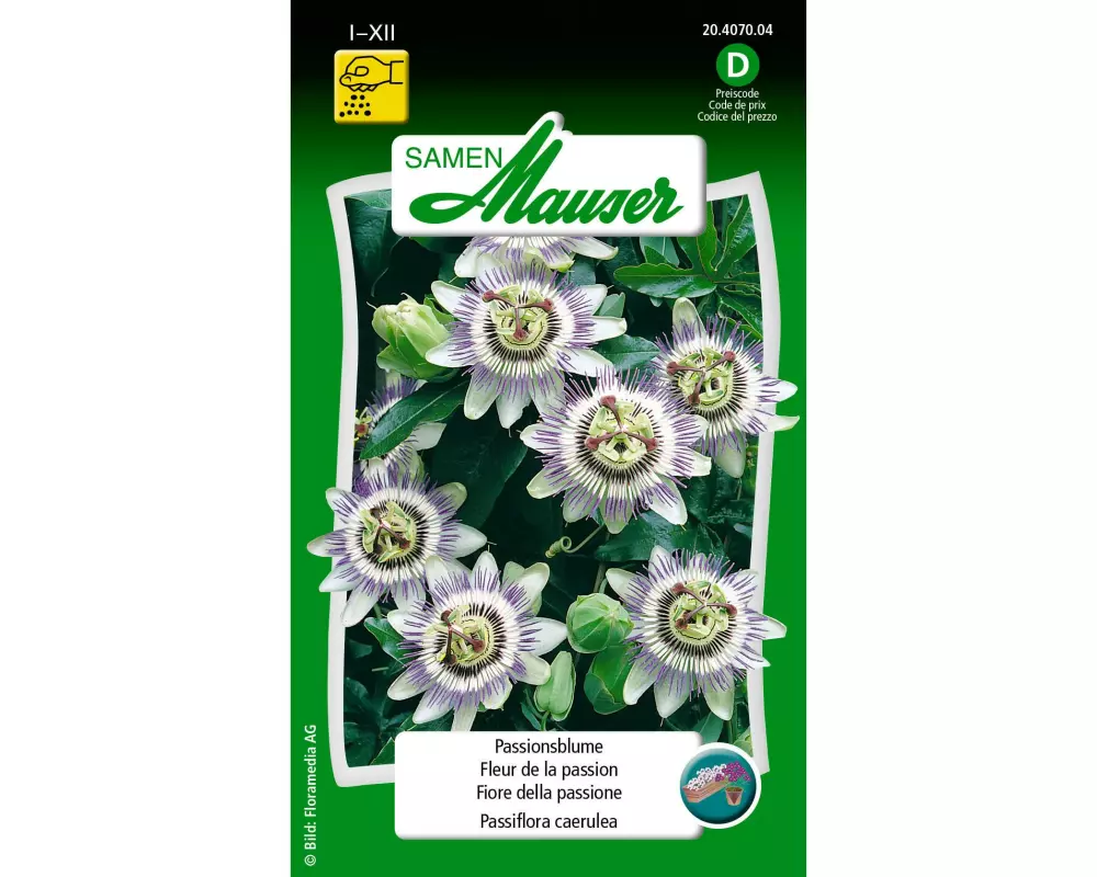 Samen Mauser Saatgut Passionsblume