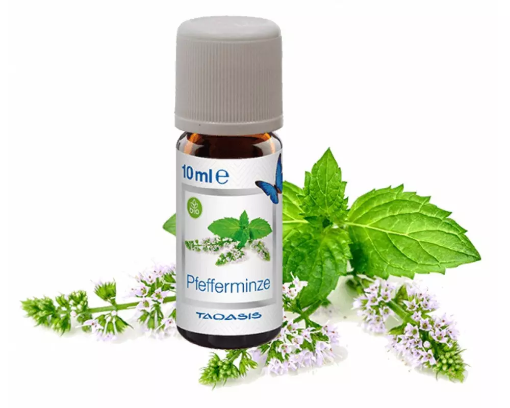 Venta Luftwäscher Duftöl Pfefferminze, 3 x 10 ml