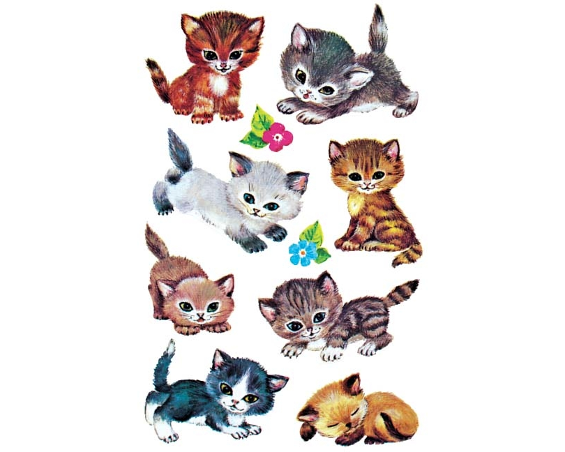 Z-DESIGN Sticker Kids 4346 Katzen 3 Stück