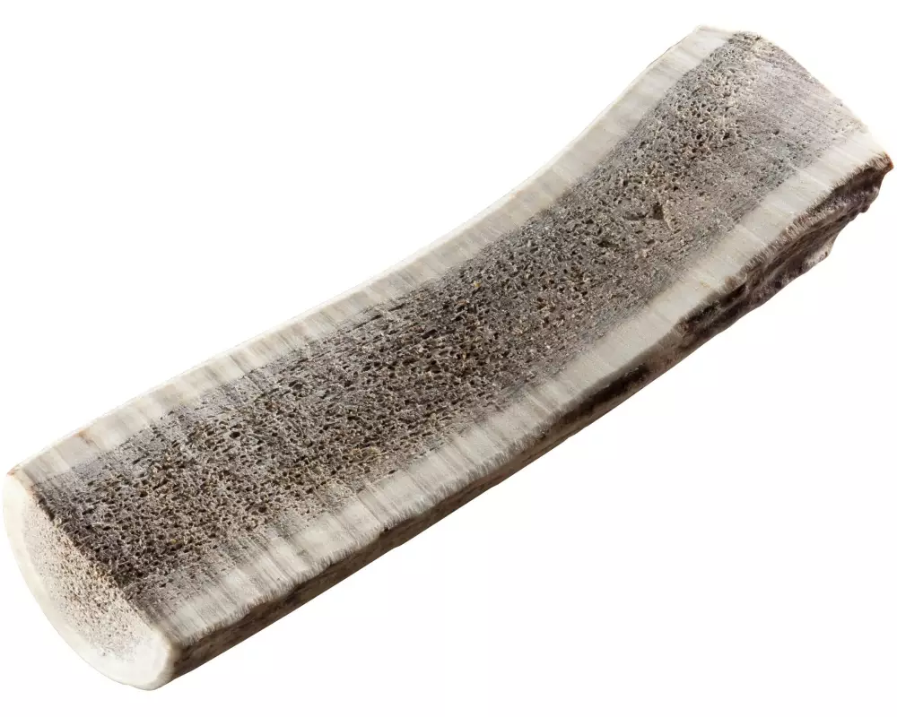 Chewies Rothirsch-Geweihstange L halb