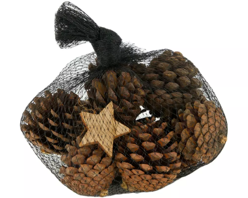 CHALET Streudeko Tannenzapfen 6 Stück, Braun
