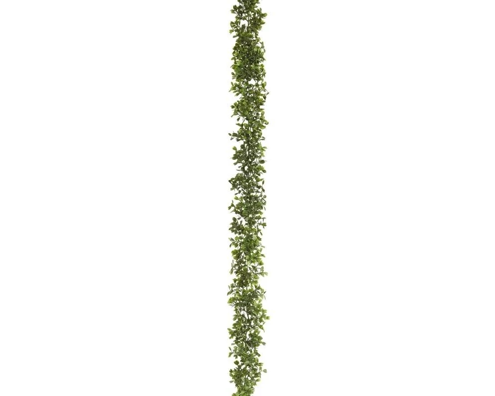 Botanic-Haus Buchsbaumgirlande Grün 180 cm
