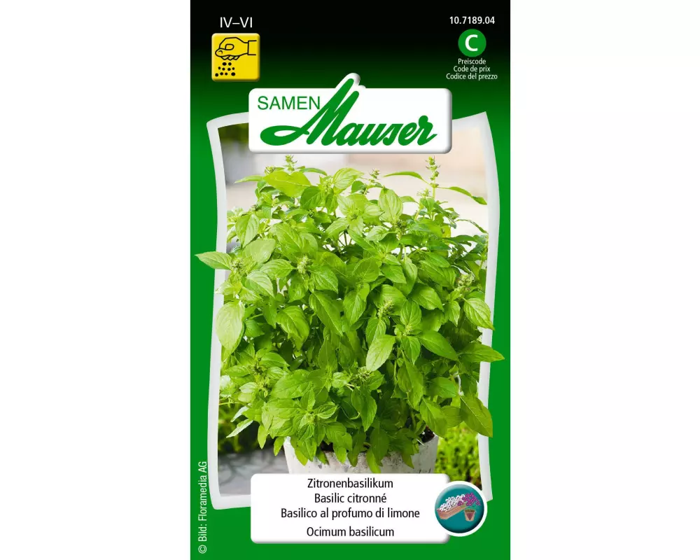 Samen Mauser Samen ZitronenBasilikum
