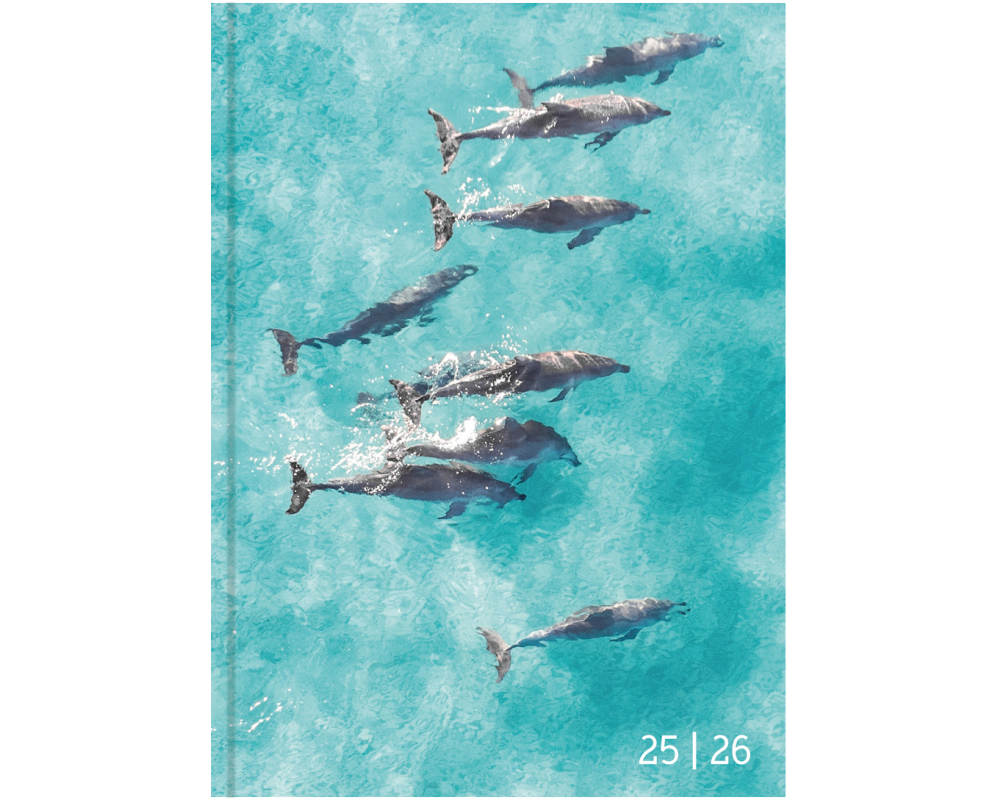 Biella Schüleragenda Mydiary Animal 25/26 FSC, 1T/1S, 12 x 16.5 cm