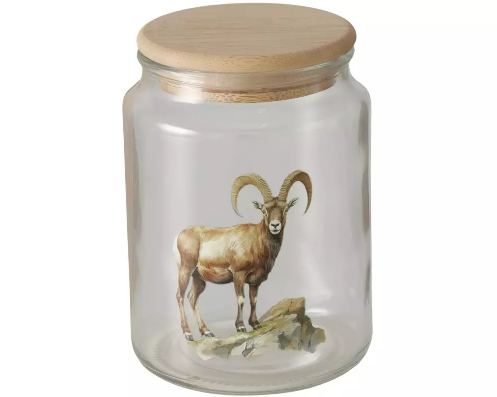 Boltze Vorratsglas Poldie 650 ml