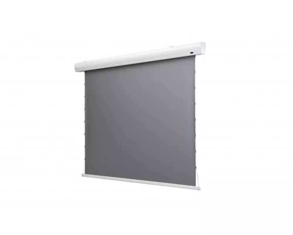Celexon Tension-Leinwand HomeCinema Dynamic Slate ALR 265x149cm 16:9