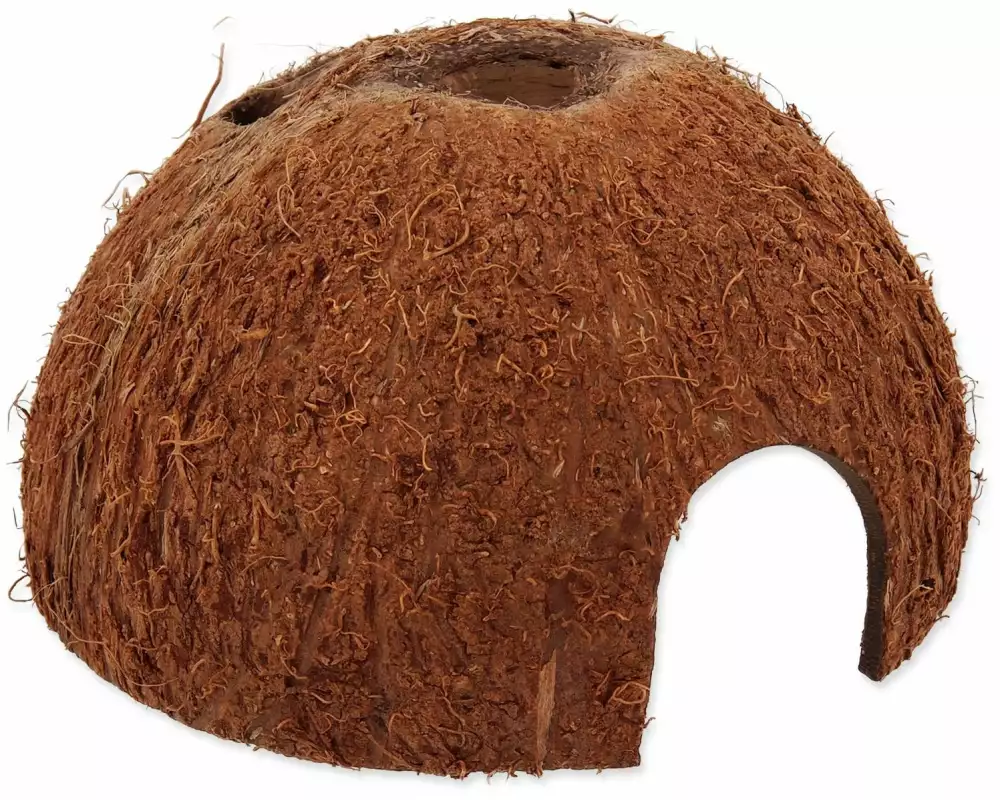 Repti Planet Coco Schale L