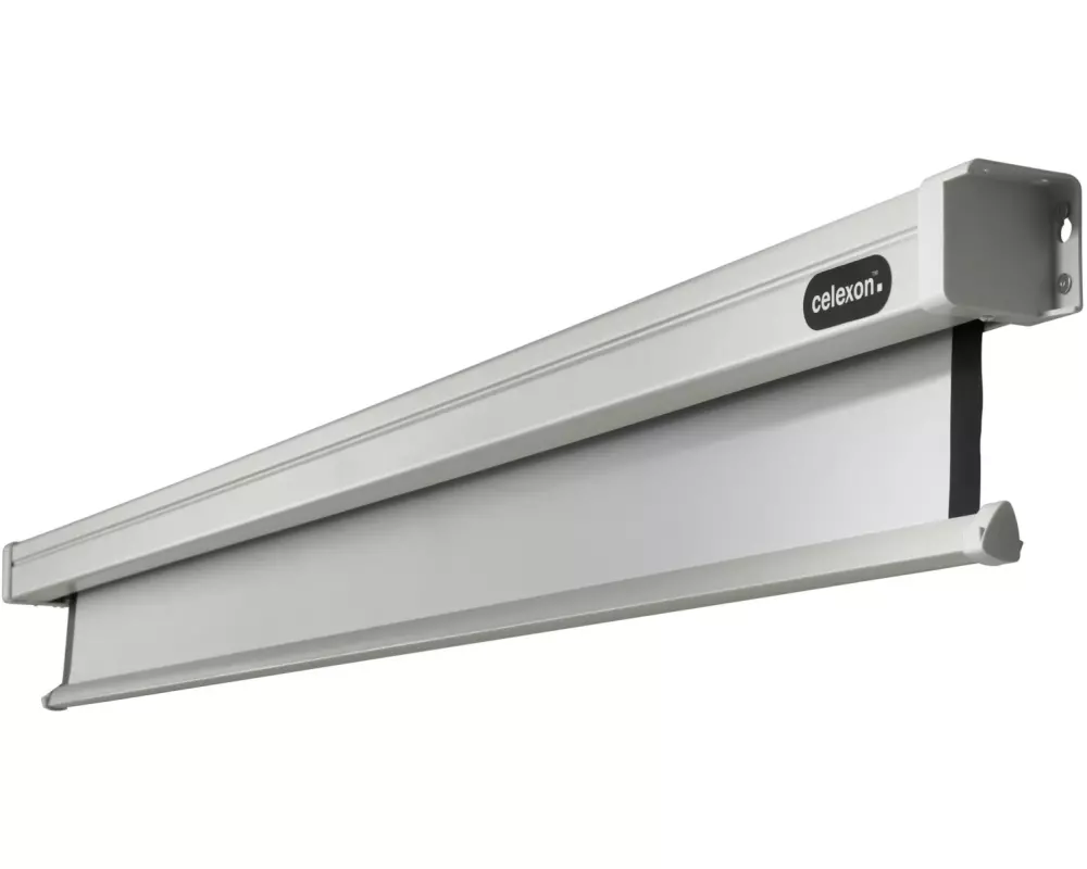 Celexon Motorleinwand Motor Professional 220x220cm 1:1