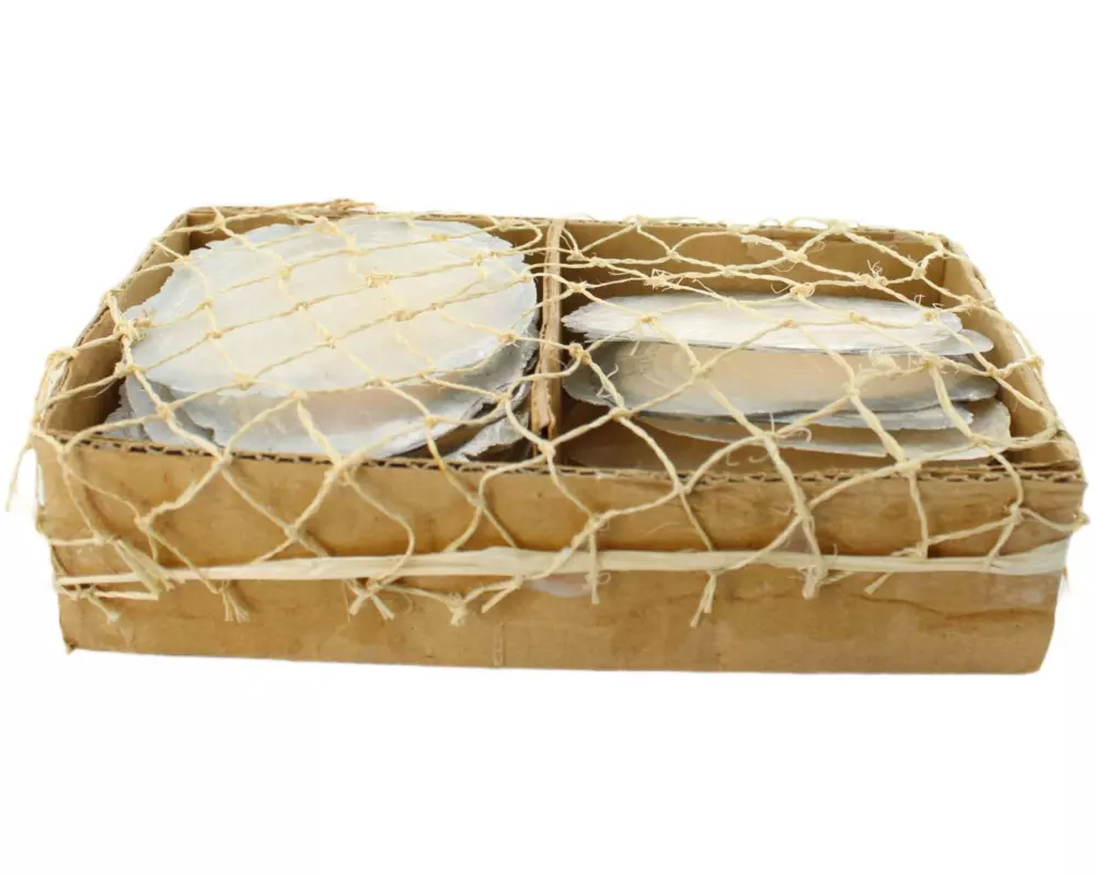 CHALET Aufsteller Capiz Muscheln Nature