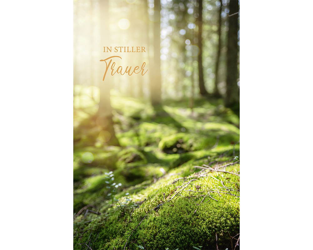 ABC Trauerkarte B6 51973 Wald im Sonnenlicht