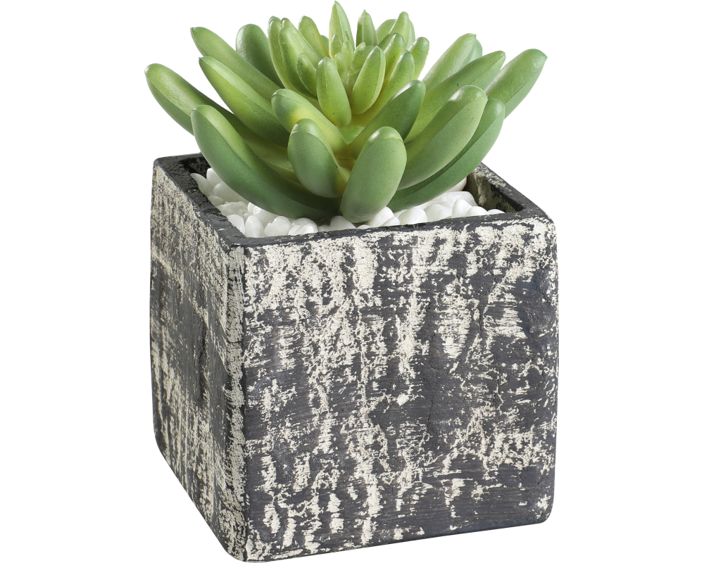 EGLO Kunstpflanze 12cm 428007 grün, im Topf