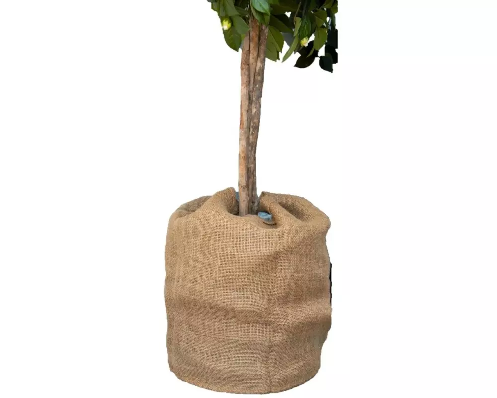 Colibri Jutesack Jute Beige Natur