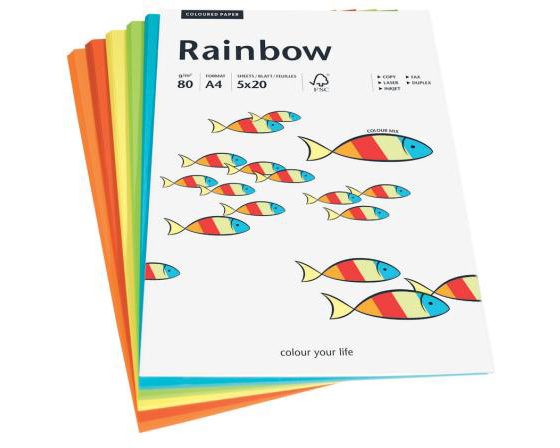 PAPYRUS Rainbow Mixpack 88043188 intensiv, 80g 100 Blatt