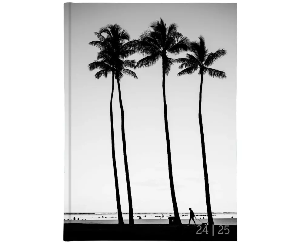 Biella Schüleragenda Mydiary 24/25 FSC, 1T/1S, 12 x 16.5 cm