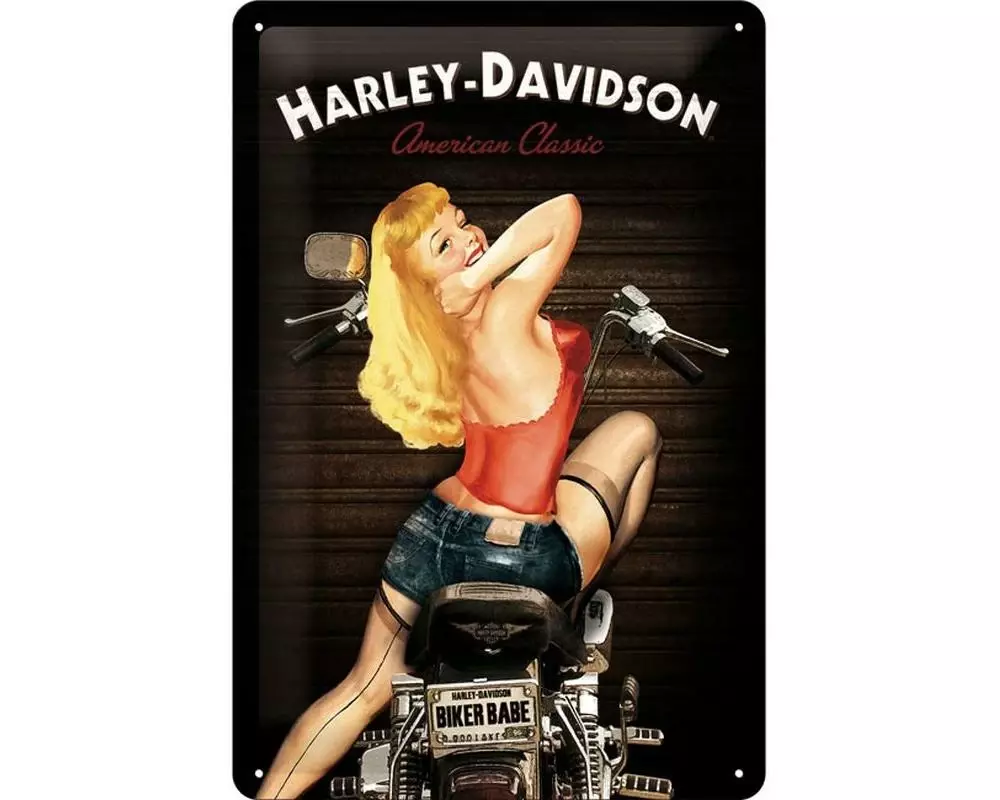 Nostalgic Art Schild Harley Davidson 20 x 30 cm, Metall