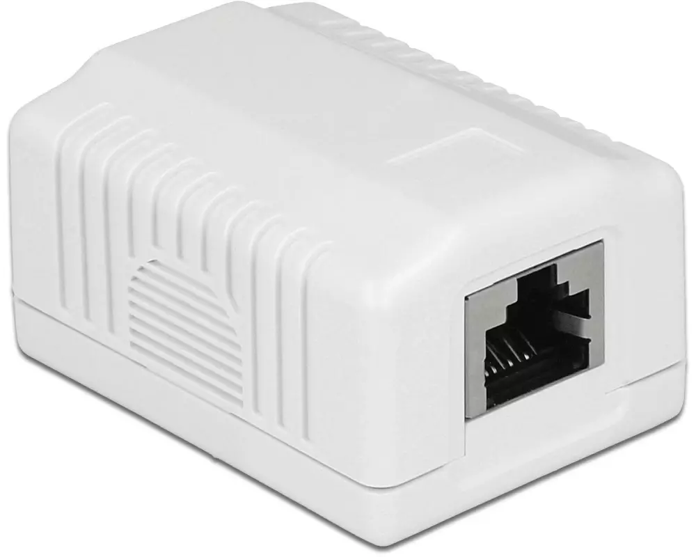 Delock Gehäuse RJ45 Cat.6A LSA 1-fach