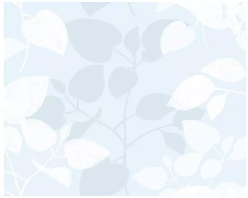 d-c-fix Fensterfolie Amena 67.5 x 150 cm