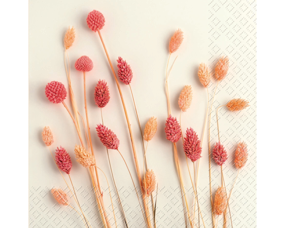 STEWO Serivette Sira 33x33cm 2572570226 rosa hell FSC 20 Stück