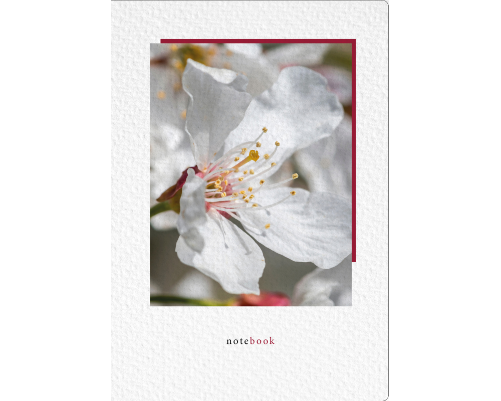 NATUR VERLAG Notizbuch Crushpaper A5 11006N Kirsche Foto, dotted