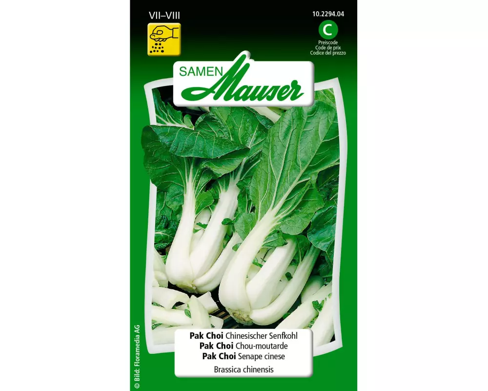 Samen Mauser Samen Pak Choi Chinesischer Senfkohl