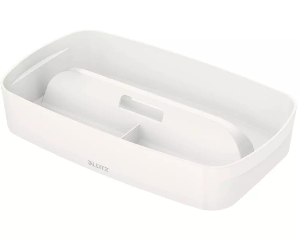 Leitz Aufbewahrungsbox MyBox Klein mit Griff