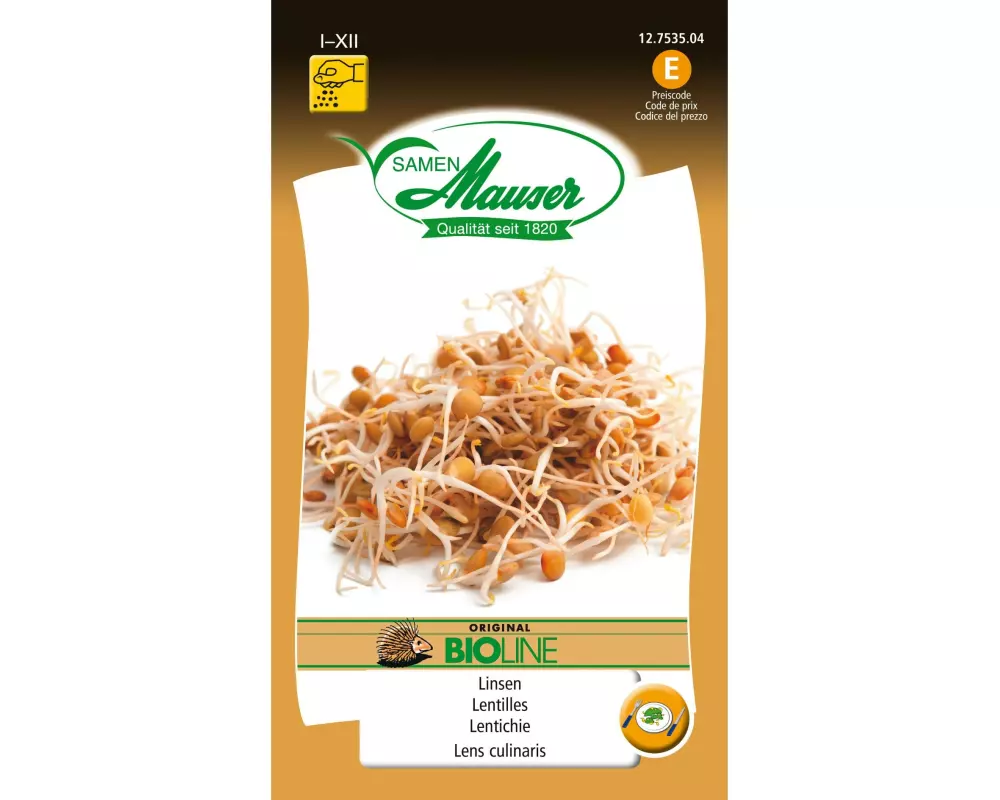 Samen Mauser Samen Linsen sprossen